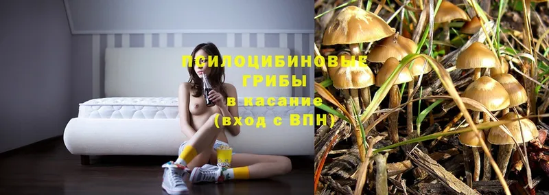 Псилоцибиновые грибы Magic Shrooms  Алапаевск 